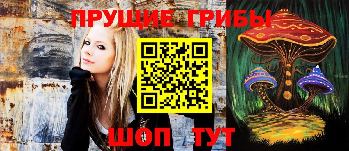 Нижний Новгород  Галлюциногенные грибы Cubensis  Вход с VPN  Псилоцибиновые грибы Psilocybe 