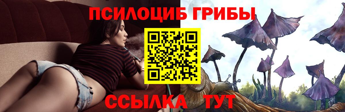 Галлюциногенные грибы Cubensis Нижний Новгород