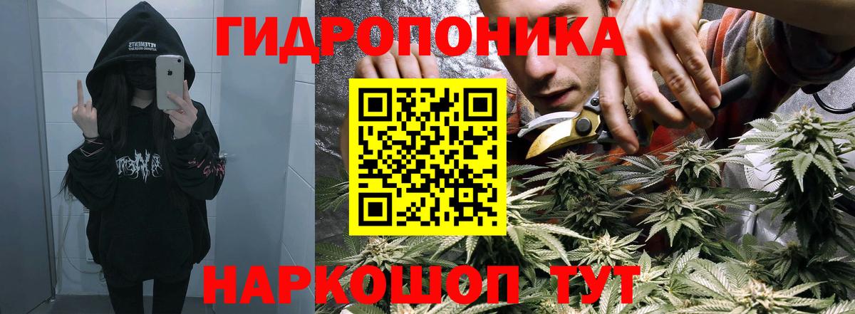 Бошки Шишки конопля Нижний Новгород